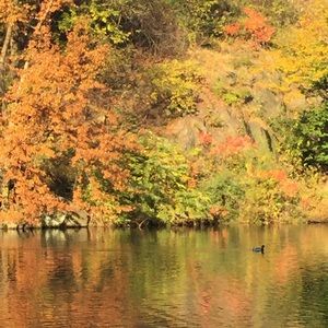 Meet your Posher, Marleen